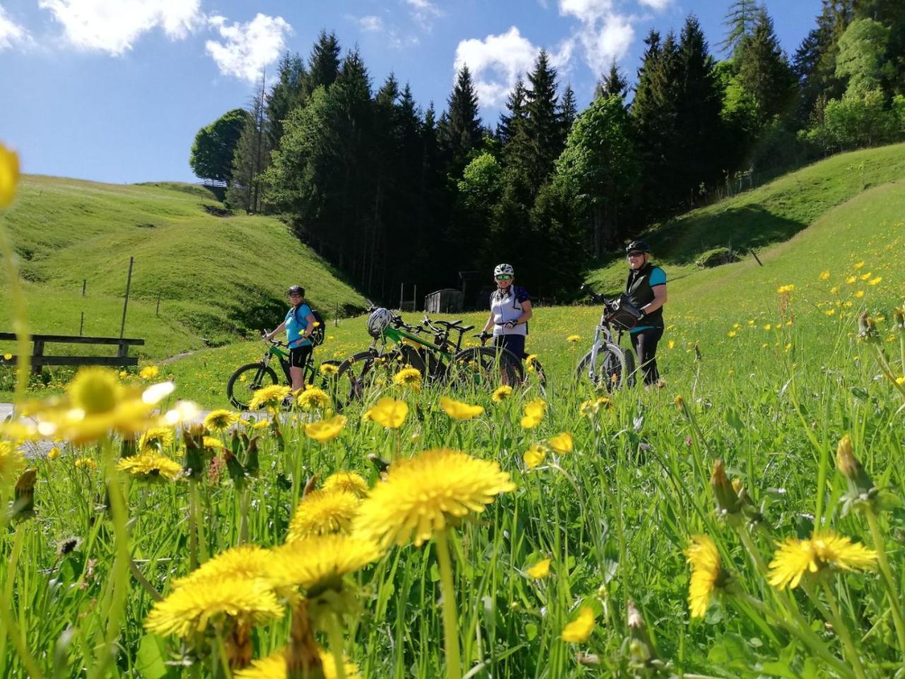 Pension Edelweiss Breitenbach am Inn Kültér fotó