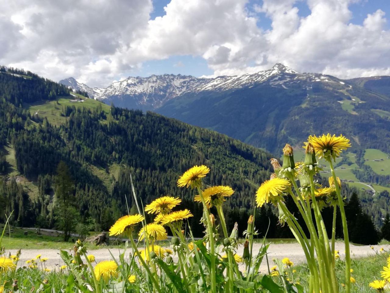Pension Edelweiss Breitenbach am Inn Kültér fotó
